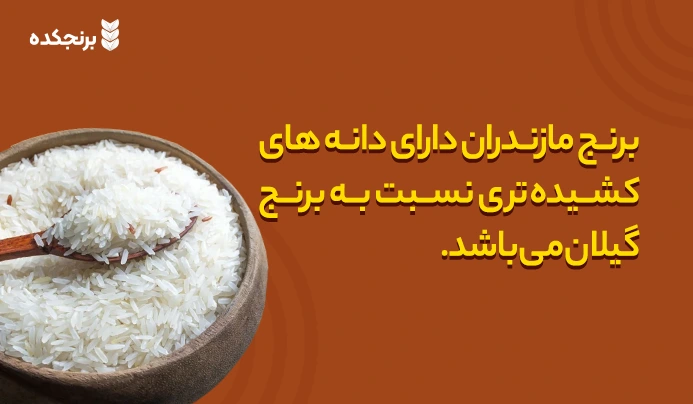 برنج مازندران یا گیلان ؟ کدام بهتر است ؟