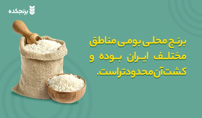 برنج ایرانی چیست