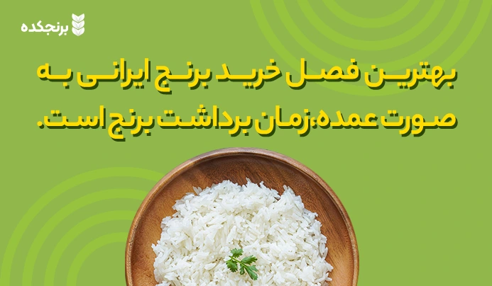 بهترین فصل خرید برنج ایرانی به صورت عمده