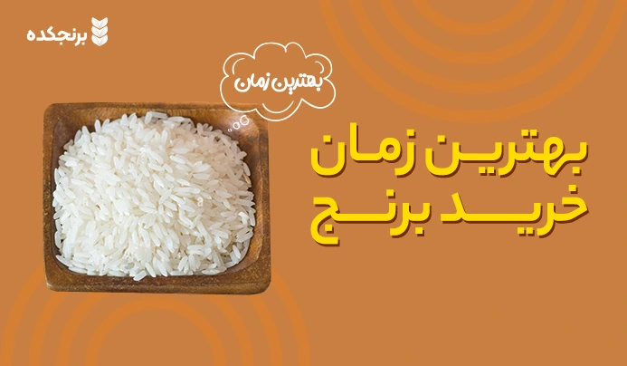 بهترین زمان خرید برنج ( فصل خرید برنج ایرانی چه فصلی است ؟ )