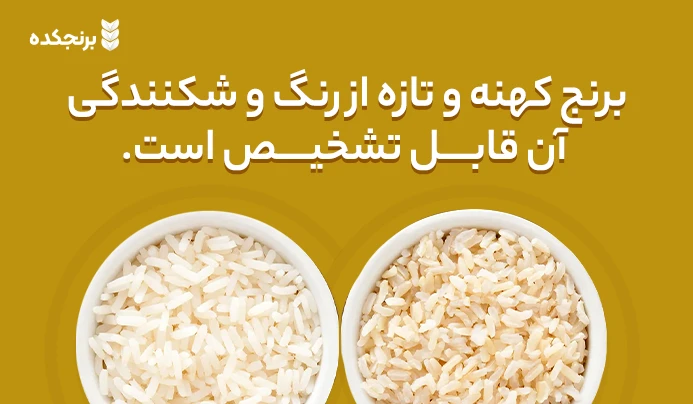 تشخیص برنج کهنه و تازه از رنگ و شکنندگی آن ها