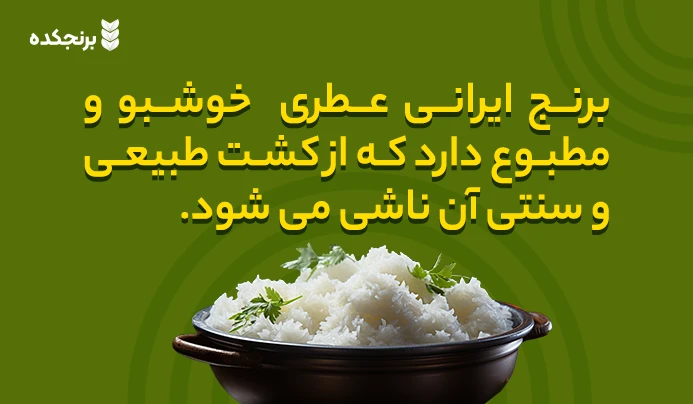 مقایسه برنج ایرانی و خارجی از نظر بو و عطر